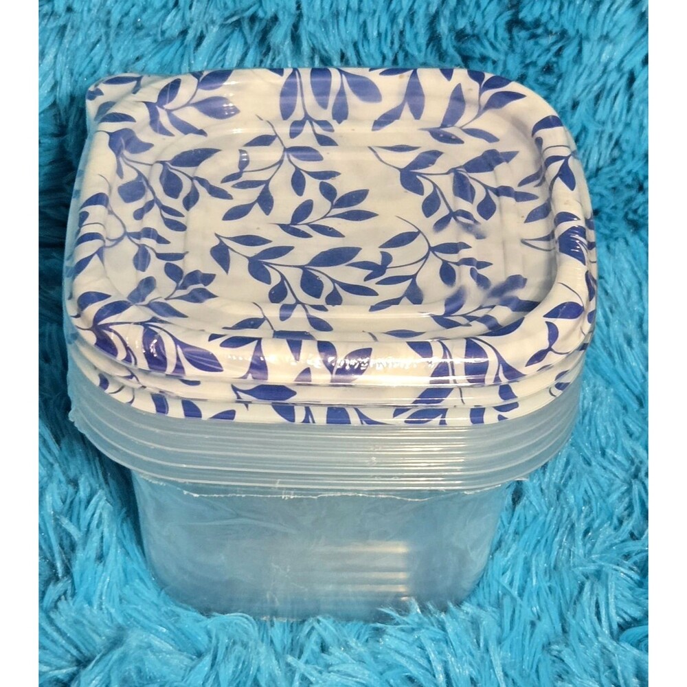 True Living 5pk Square Storage Containers 33.8 fl oz Snap Lids Capri Summer